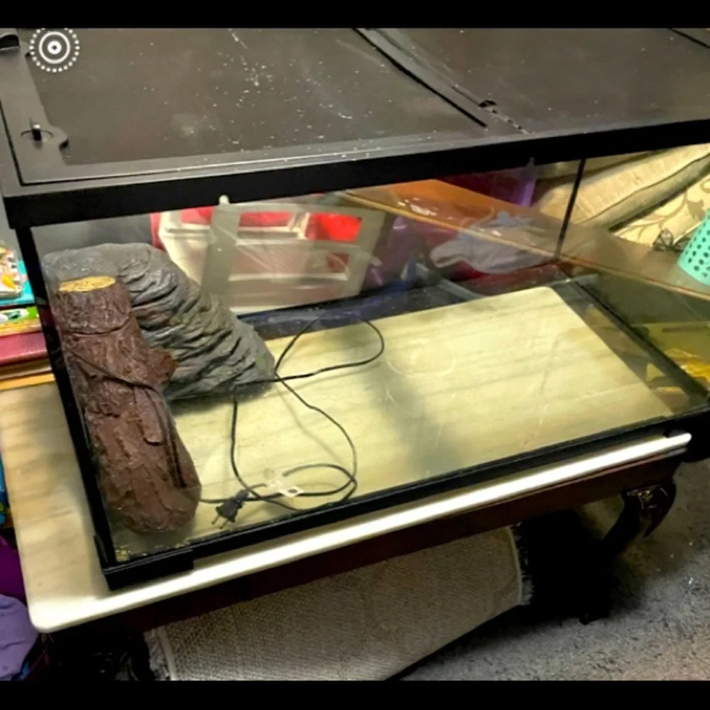 40 gallon tank